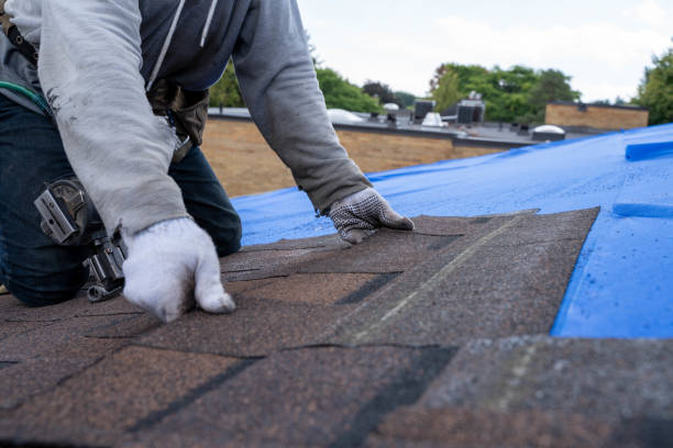 Best Roof Coating and Sealing  in Dupont, WA